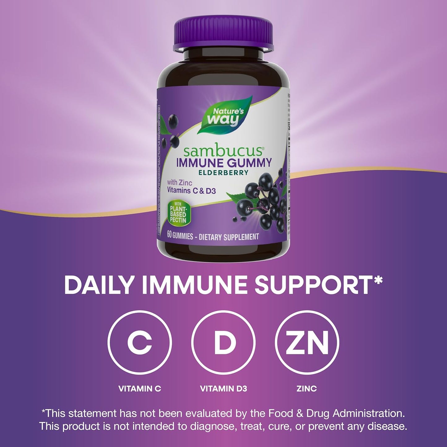 Elderberry Gummies Immune Support