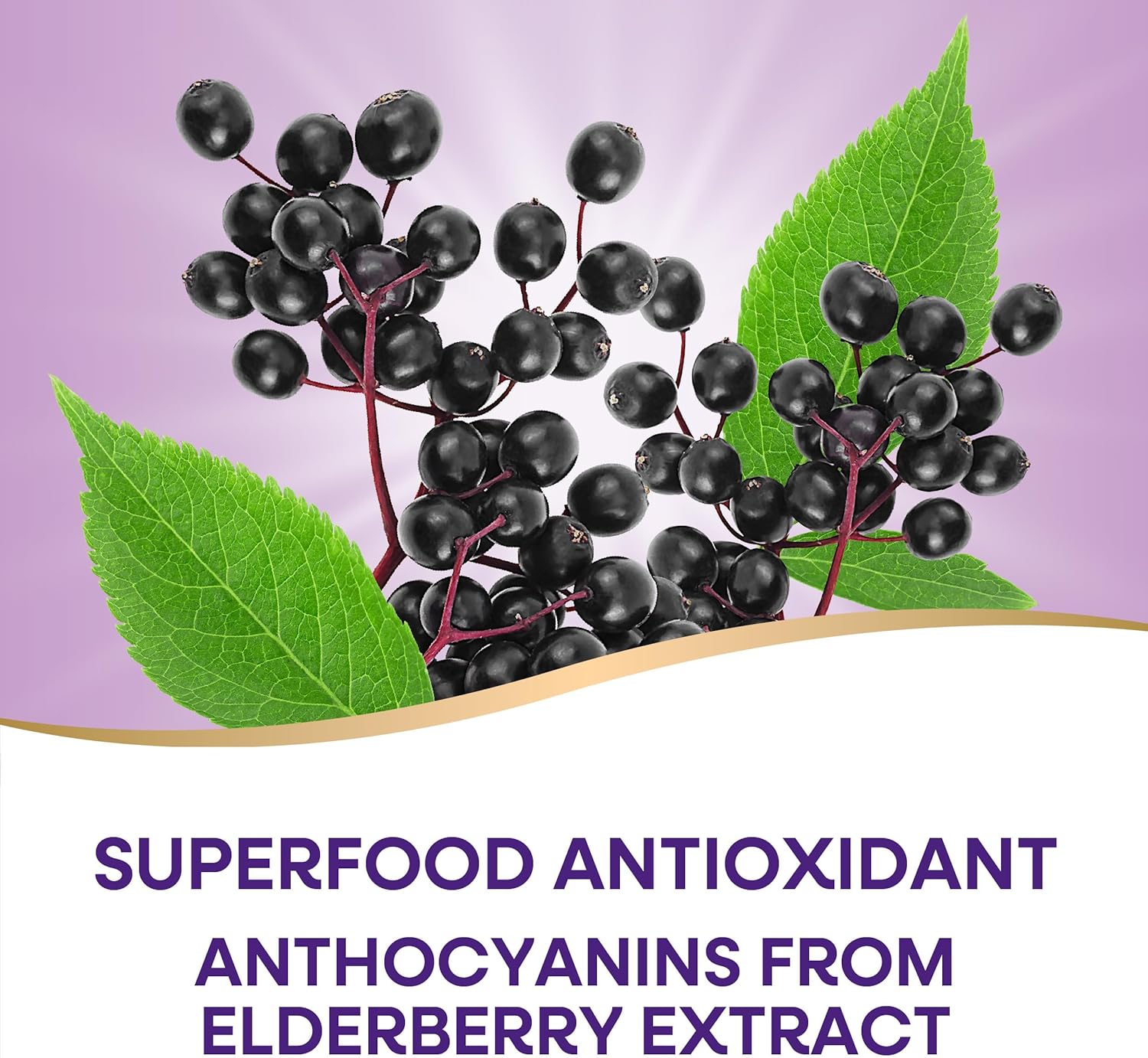 Elderberry Gummies Immune Support