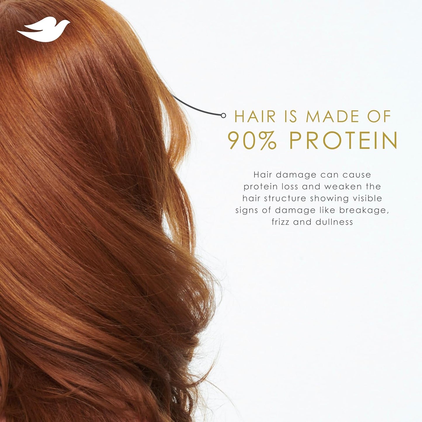Dove Intensive Repair Shampoo for Damaged Hair