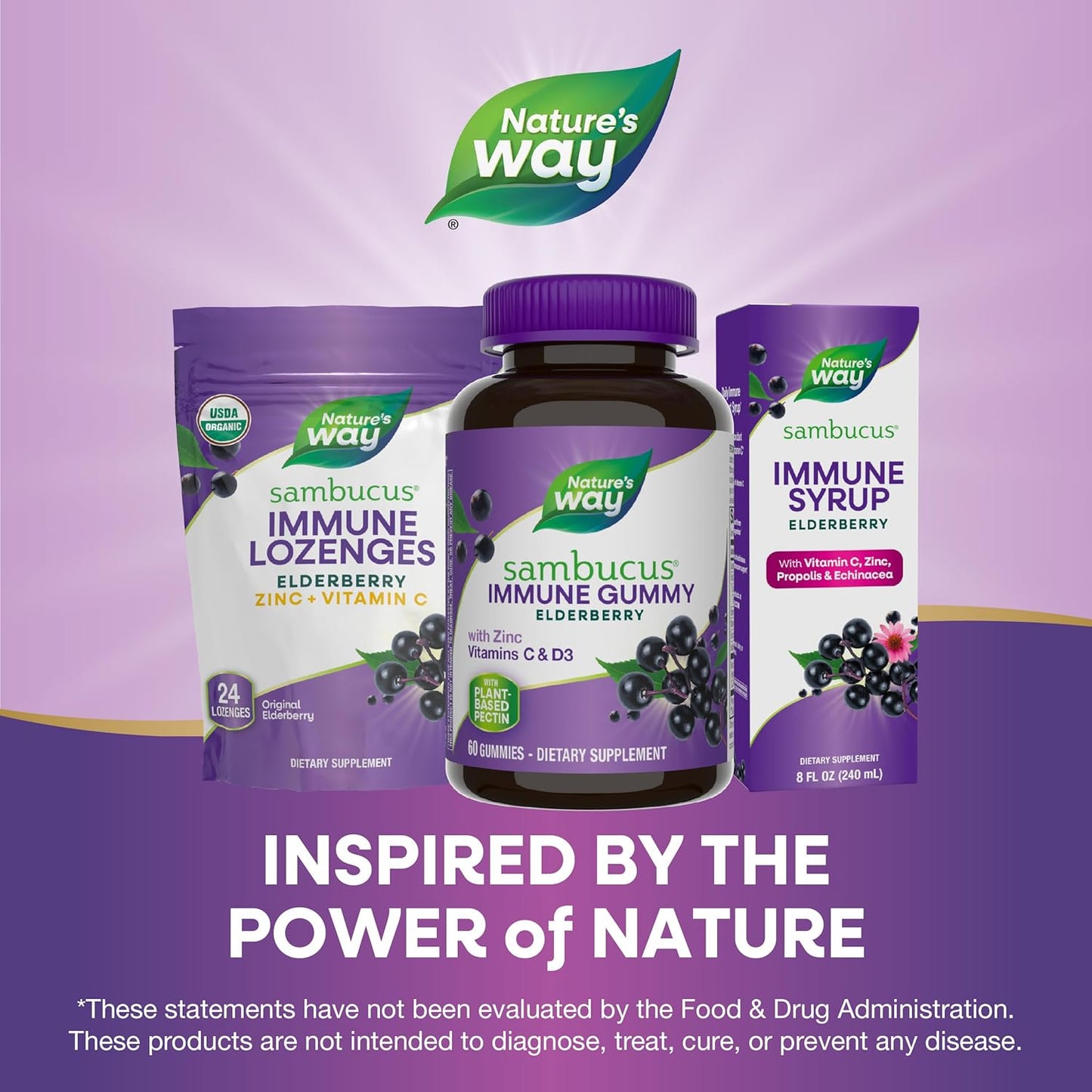 Elderberry Gummies Immune Support