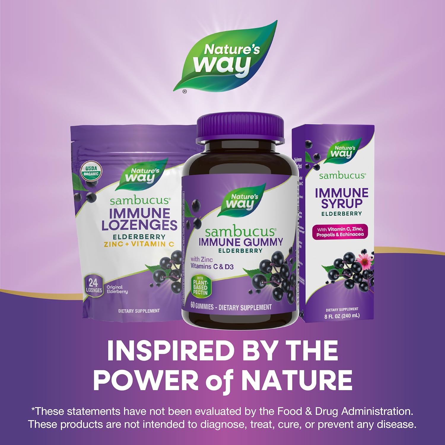 Elderberry Gummies Immune Support